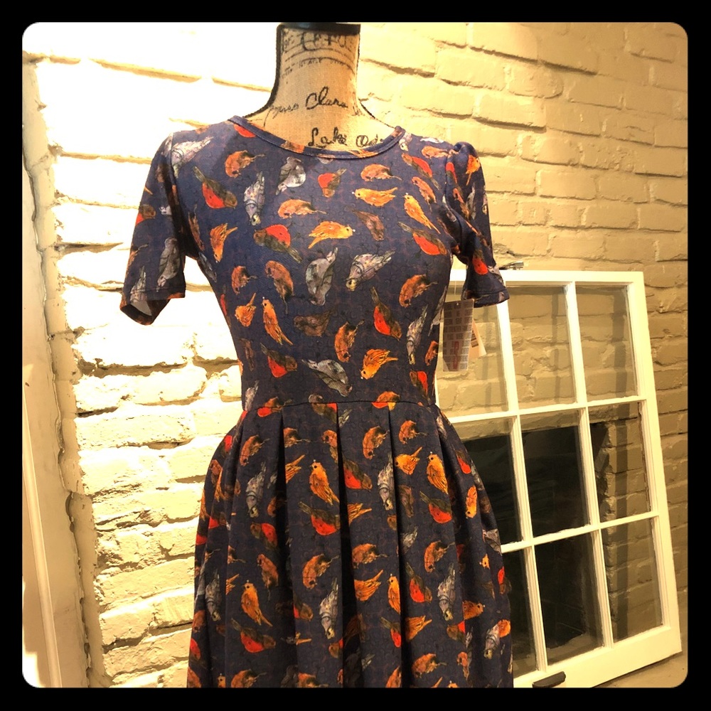 Lula Roe Dress (NWT)